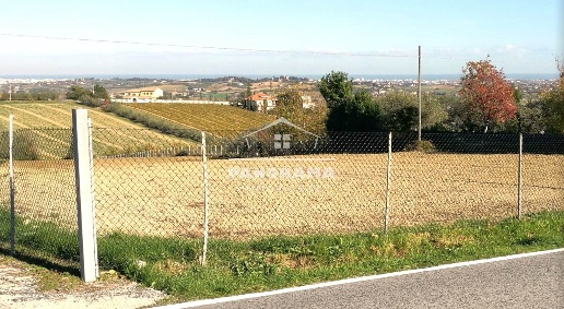Foto Terreno agricolo a Coriano di 6000 m² in vendita