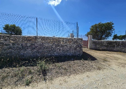 Foto Terreno agricolo a Altamura di 12786 m² in vendita