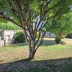 Foto Villa unifamiliare a Massarosa di 400 m² con 11 locali in vendita