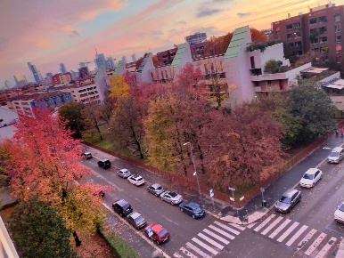 Foto Appartamento in Via Sarzana 40, Milano Istria di 50 m² con 2 locali