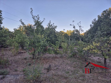 Foto Terreno agricolo in Contrada Grotta Comune, Trecastagni di 2400 m²