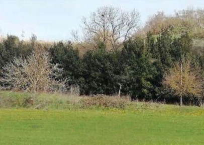 Foto Terreno agricolo in Via di Grottarossa, Roma Tomba di Nerone