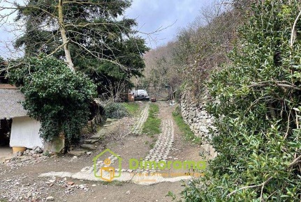 Foto Casa indipendente in sp 551  186, Vicchio Mattagnano di 211 m²