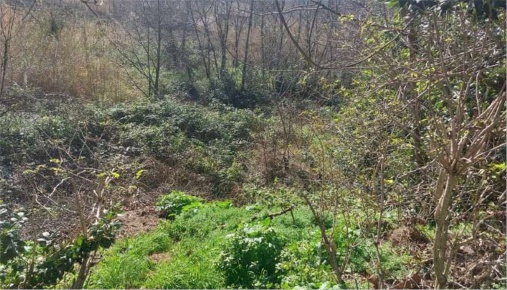 Foto Terreno edificabile in Via Serra, Vallefoglia di 980 m² in vendita