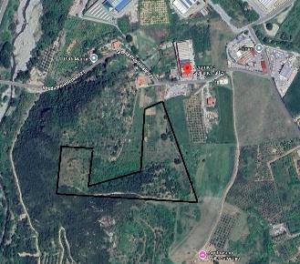Foto Terreno agricolo in Contrada Ronzini snc, Patti di 30000 m² in vendita