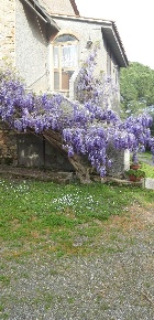 Foto Rustico a Campagnatico di 99 m² con 4 locali in vendita