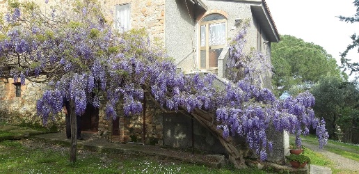 Foto Rustico a Campagnatico di 99 m² con 4 locali in vendita