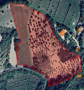 Foto Terreno agricolo a San Severino Marche Serripola di 39000 m²