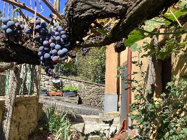 Foto Case semi ndipendenti in VIA GUIDO MONACO, Talla di 97 m² con 5 locali