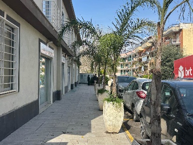 Foto Attività commerciale in VIALE DEI GERANI, Cercola Centro di 40 m²