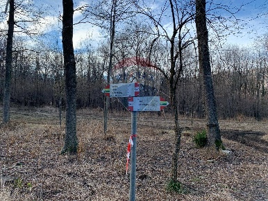 Foto Terreno agricolo in via Castelli, Gemonio di 4460 m² in vendita