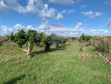Foto Terreno agricolo in SS113, Terrasini Centro di 4500 m² in vendita