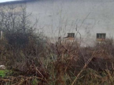 Foto Terreno agricolo in Vicolo Grilli, Isorella di 262 m² in vendita