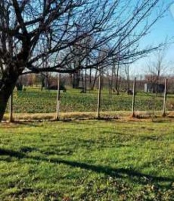 Foto Terreno agricolo in Via Maino, Fiume Veneto Centro di 2508 m²
