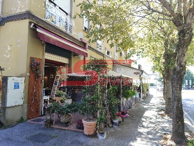 Foto Negozio a Montecatini-Terme di 53 m² con 2 locali in vendita
