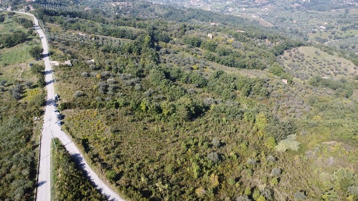 Foto Terreno agricolo in Via Serri, Giungano di 23000 m² in vendita