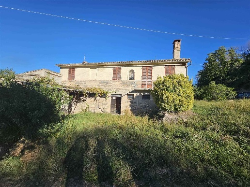 immagine annuncio 2 di 8