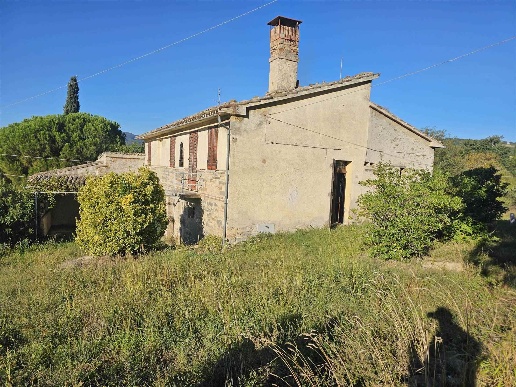 immagine annuncio 6 di 8