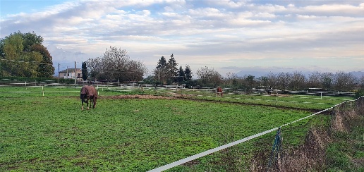 Foto Terreno agricolo Cave di 7025 m² in vendita