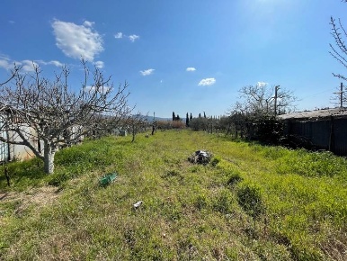 Foto Terreno agricolo in campo cangino, Follonica di 1850 m² in vendita
