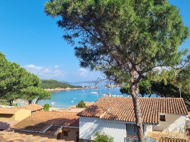 Foto Appartamento a Arzachena Baja Sardinia di 36 m² con 1 locali