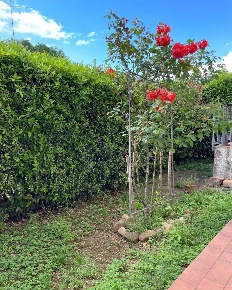 Foto Appartamento a San Gimignano Centro di 130 m² con 7 locali in vendita