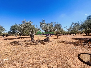 Foto Terreno agricolo in Contrada Piombo, Ragusa di 1970 m² in vendita