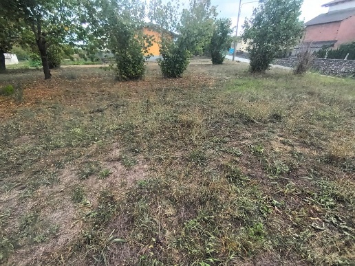 immagine annuncio 10 di 14