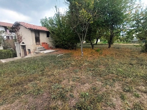 immagine annuncio 11 di 14