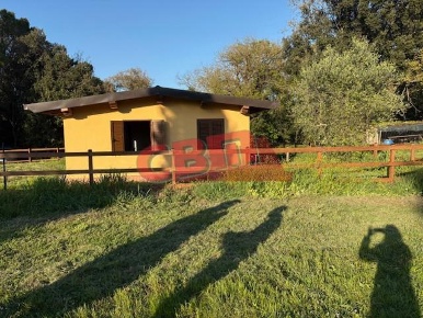 Foto Terreno agricolo a Livorno Porta a Terra - Padula di 1300 m²