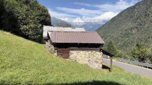 immagine annuncio 4 di 15