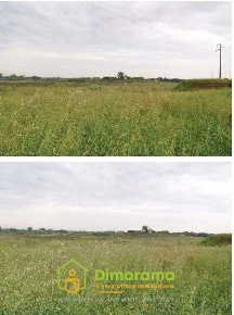 Foto Capannone industriale Tarquinia Lido di Tarquinia con 8 locali