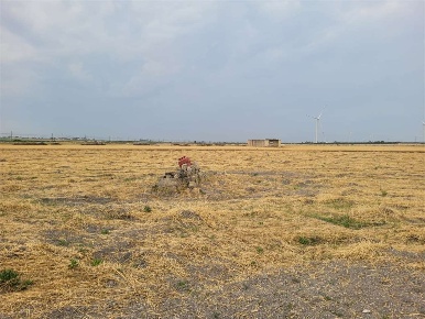 Foto Terreno agricolo in SP 68, Cerignola di 28000 m² in vendita