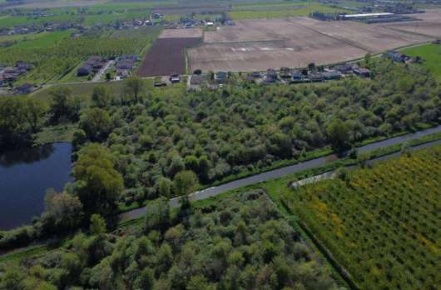 Foto Terreno agricolo in Via Barbugine, Cerea Centro di 57472 m² in vendita