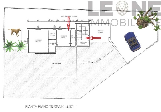 immagine annuncio 1 di 6