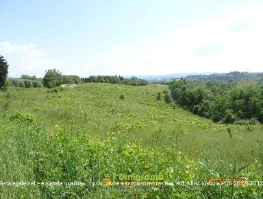 Foto Terreno agricolo in Via Ortimo snc, Montespertoli Centro di 21514 m²
