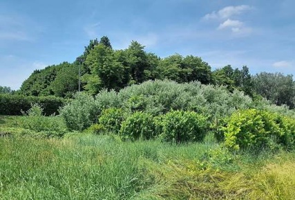 Foto Terreno agricolo in Via Giandegola, Carpi Quartirolo - Meloni
