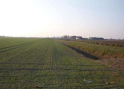 Foto Terreno agricolo in Via Susano Sostegno, San Giorgio Bigarello