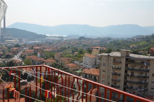 immagine annuncio 2 di 11