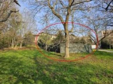 Foto Rustico in Via Molaro, Coassolo Torinese Coassolo di 95 m² in vendita