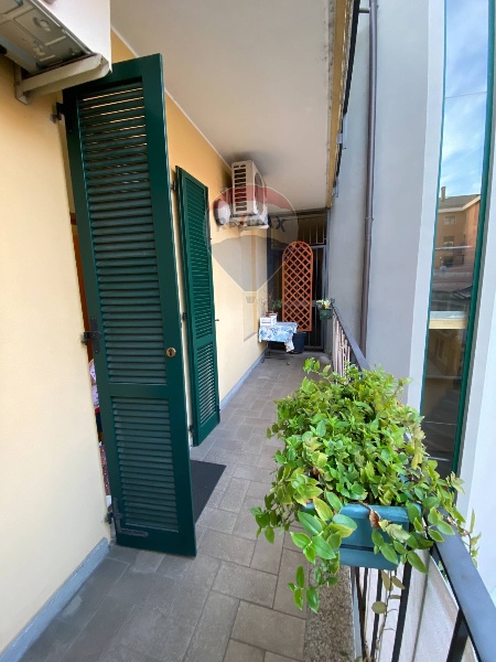 immagine annuncio 5 di 14