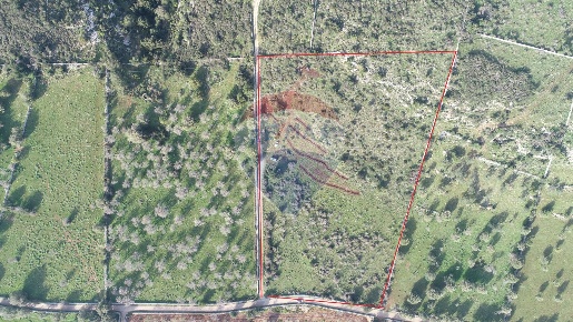 Foto Terreno agricolo in CONTRADA CASE CUGNI, Noto di 21009 m² in vendita