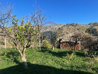 Foto Terreno agricolo in C.DA DAMMARI, Castelmola di 60000 m² in vendita