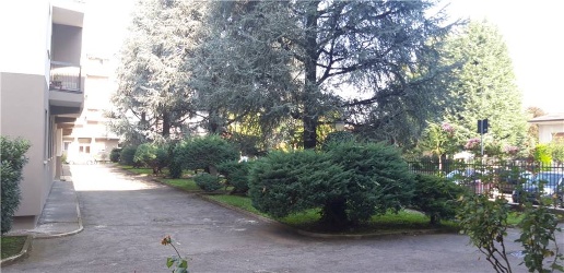 immagine annuncio 2 di 6