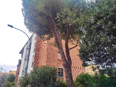 Foto Appartamento in BOLOGNA BORGO PANIGALE, Bologna Borgo Panigale