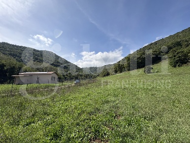 Foto Terreno agricolo in Via Carpinetana Ovest snc, Segni di 64200 m²