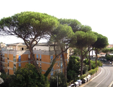 Foto Appartamento in di Grottarossa, Roma Tomba di Nerone di 95 m²
