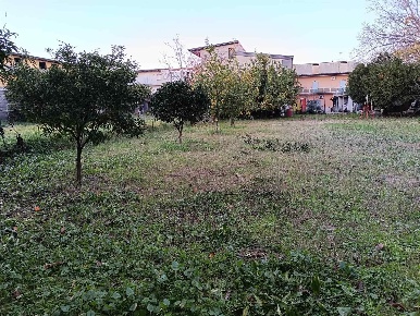 Foto Terreno edificabile a Succivo di 823 m² in vendita