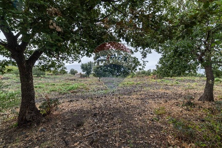 Foto Terreno agricolo in Via Bellinghieri Montelaguardia, Randazzo