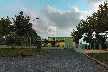 Foto Magazzino in viale degli artigiani, Genzano di Roma di 778 m²